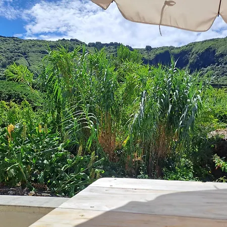 Casa Florescer - Blossom House